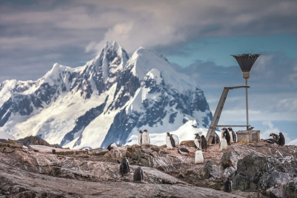Ein Schwarm Pinguine . Antarktische Berge